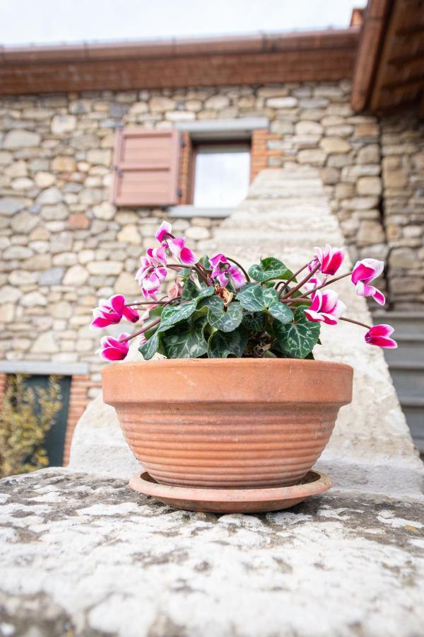 B&B Casa Del Pietro Pieve San Giovanni Εξωτερικό φωτογραφία